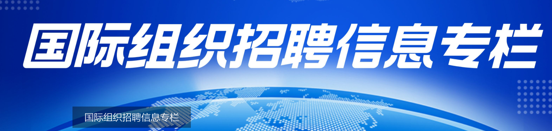 国际组织就业平台